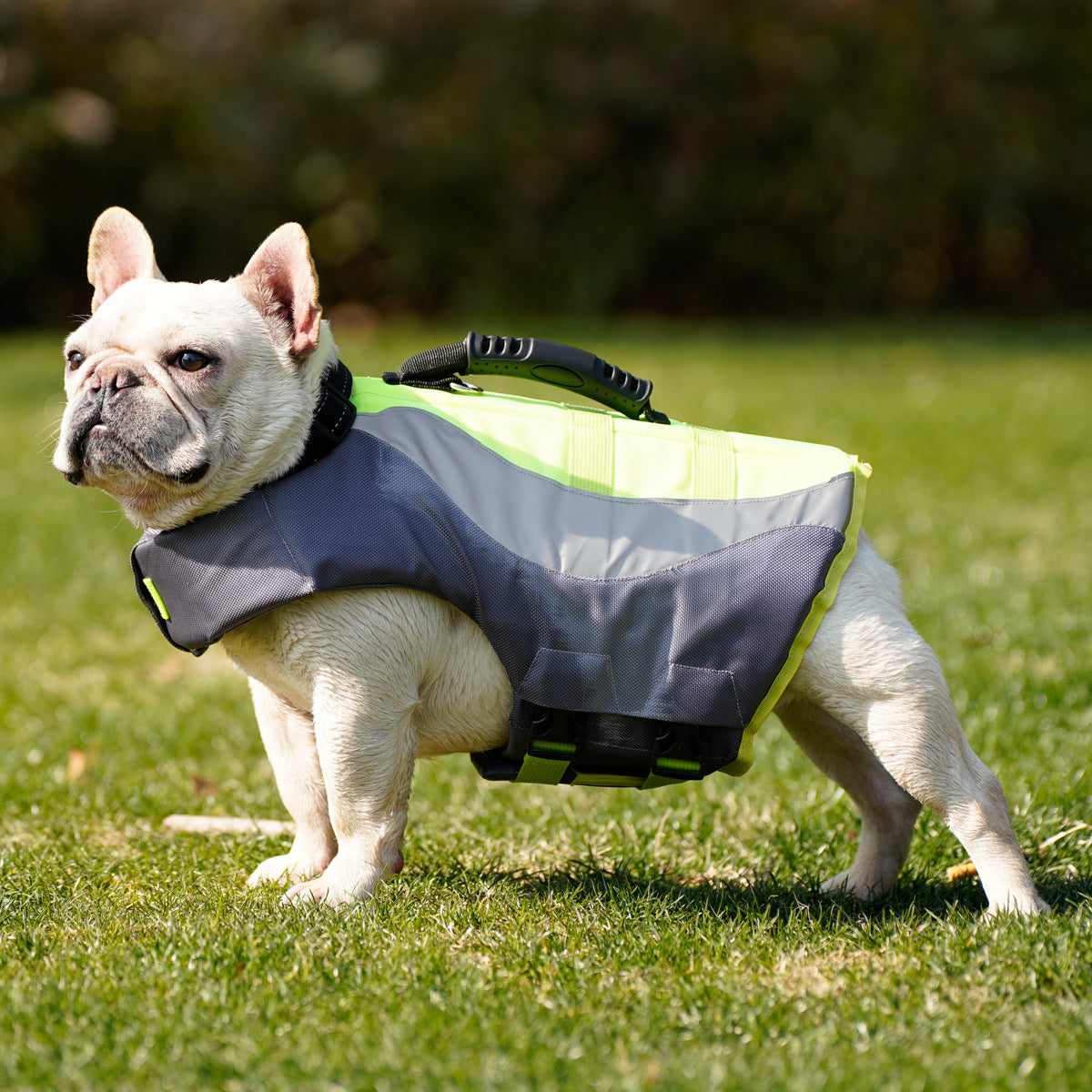 Reflective Pet Swim Life Jacket Safety Vest: A Must-Have for Your Pet's Safety