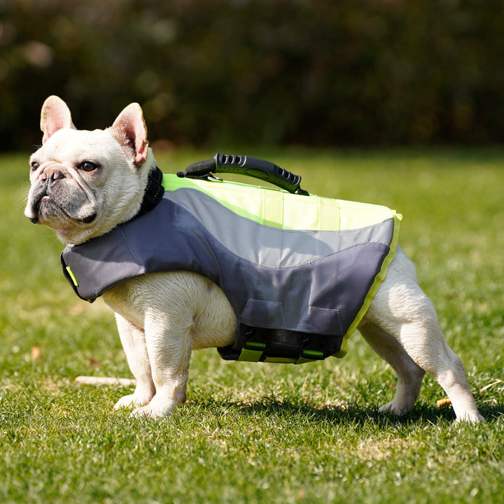 Reflective Pet Swim Life Jacket Safety Vest: A Must-Have for Your Pet's Safety