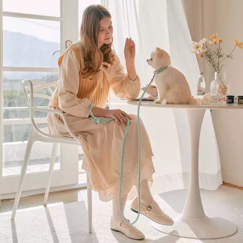 Elevate Your Pet's Style with Our Leather Pet Collar and Handheld Rope Leash