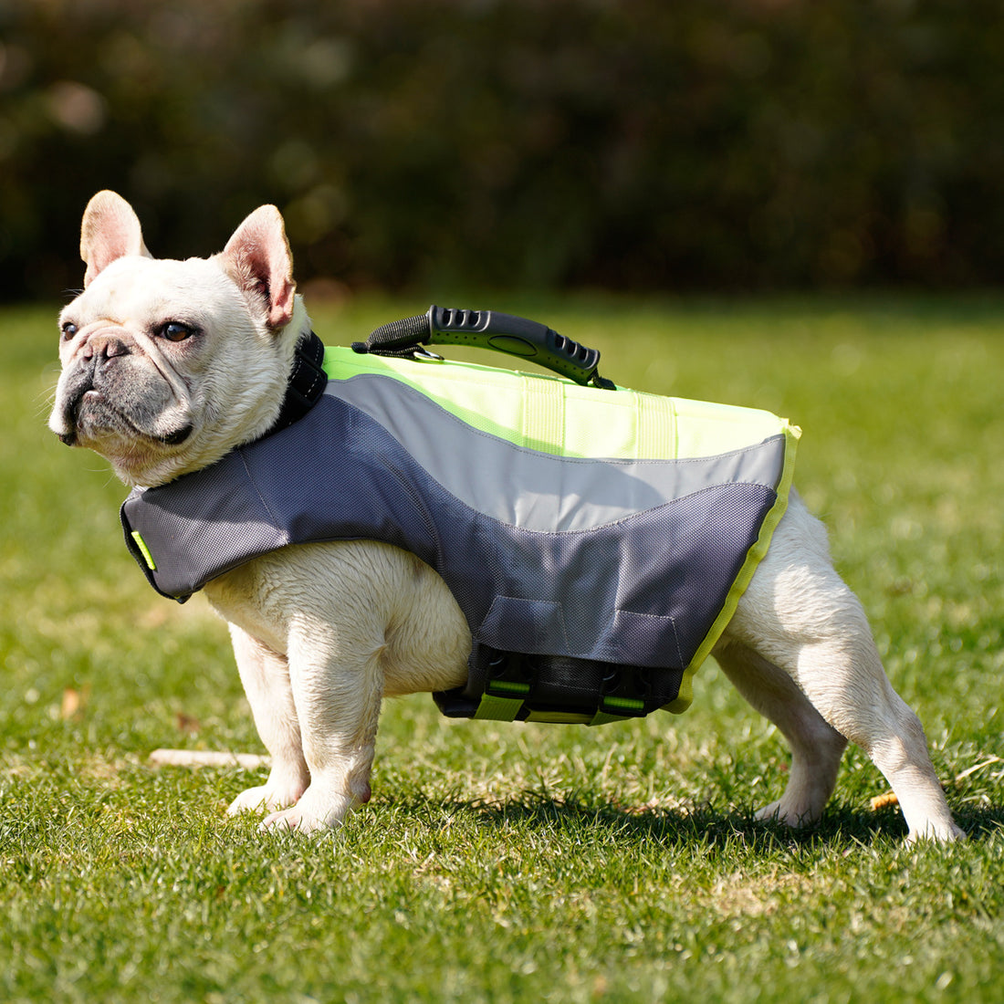 Reflective Pet Swim Life Jacket Safety Vest