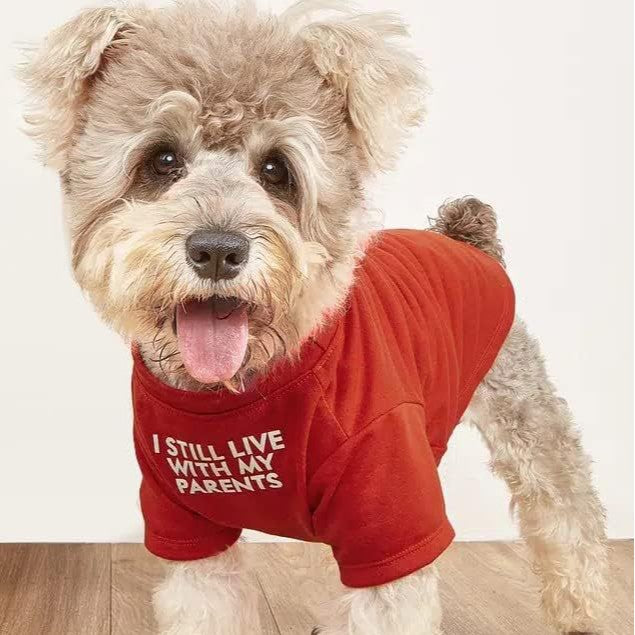 Round Neck Pet T-Shirt Clothing Apparel