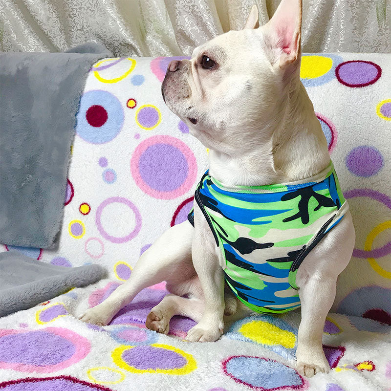 Pet Fashion T-Shirt Summer Lightweight Clothing