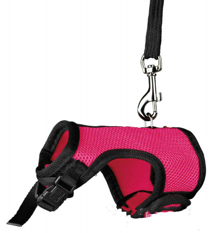 Small Pet Leash For Travel And Walking