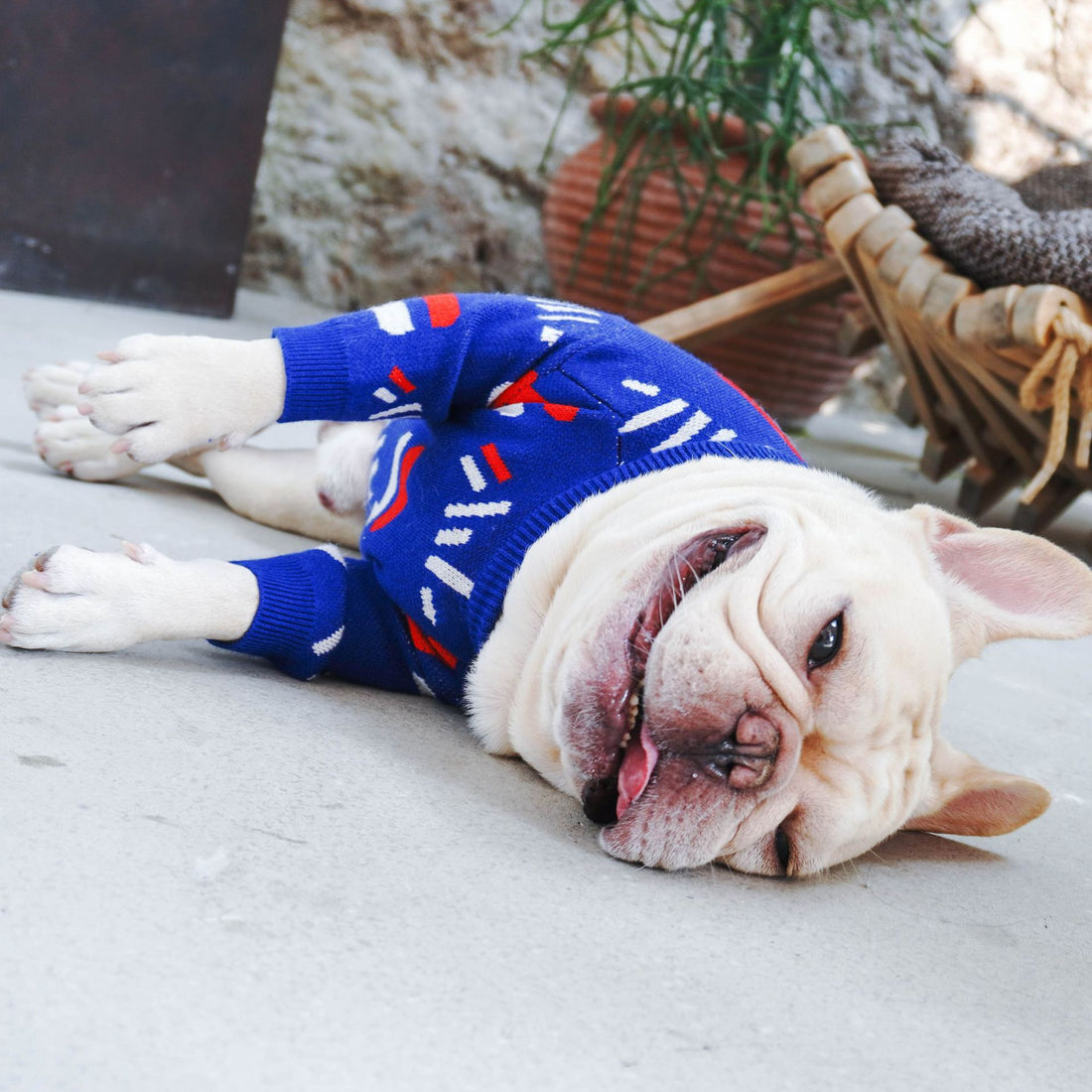 Pet Sweater Warm Clothing Apparel