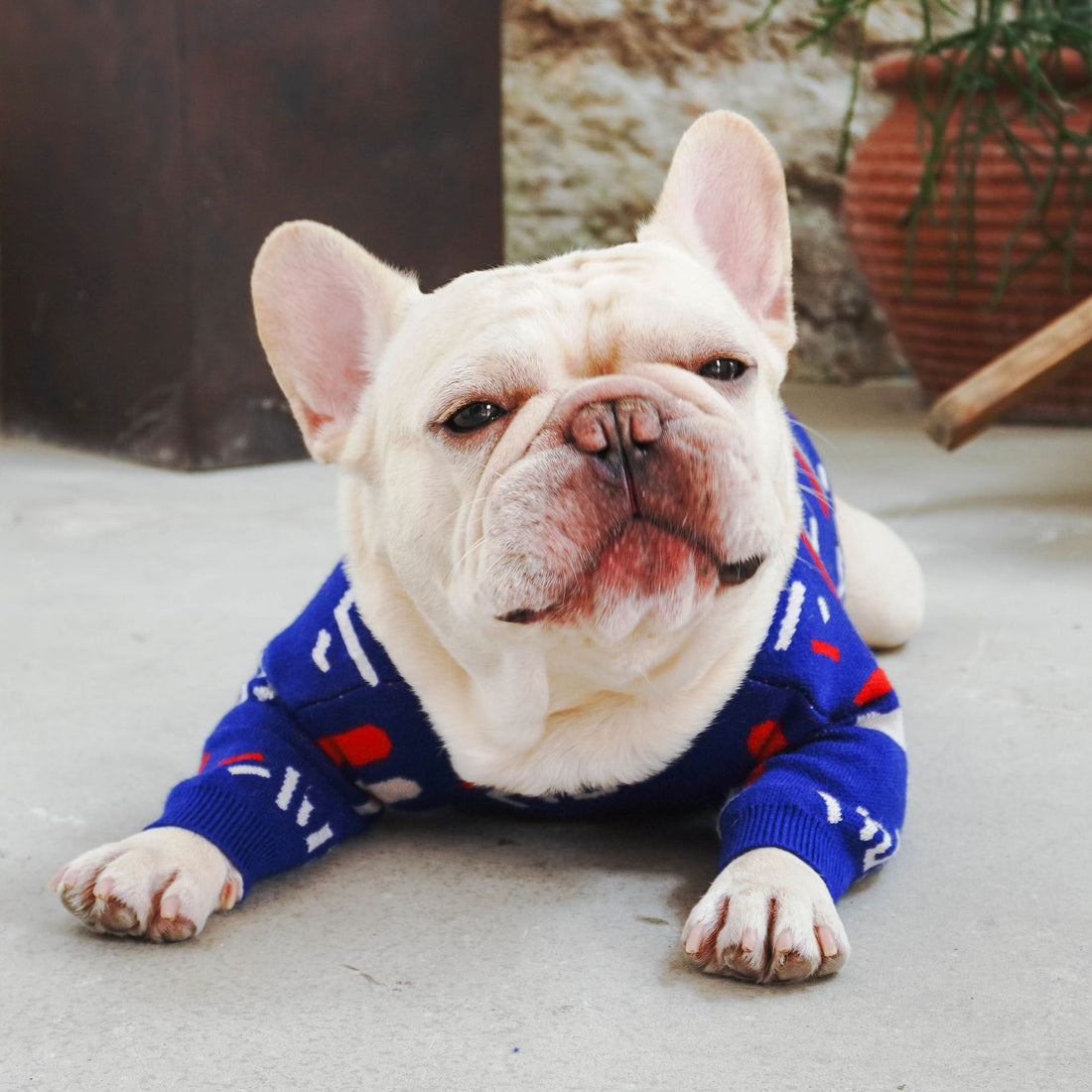 Pet Sweater Warm Clothing Apparel