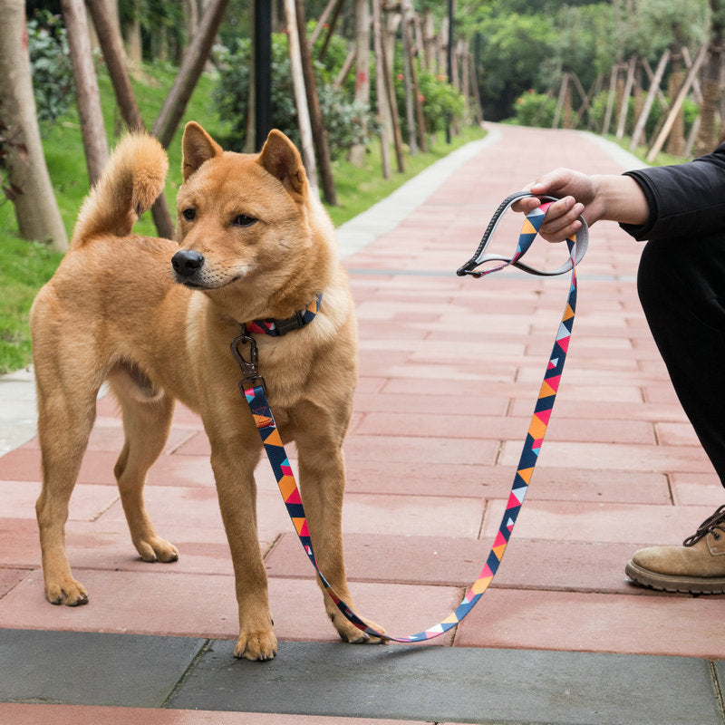Pet Supplies Leash For Pets