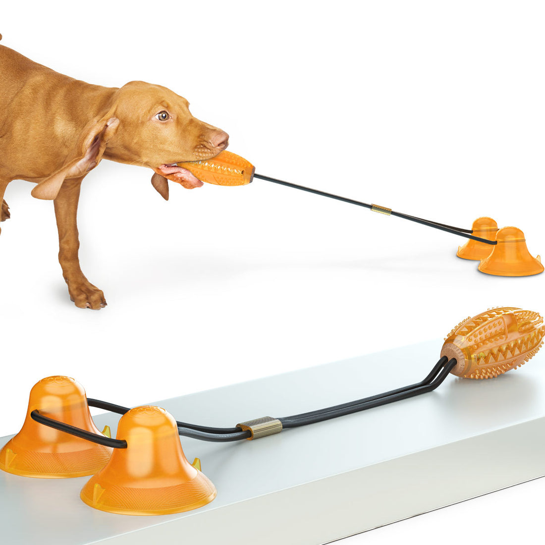 Multifunction Double Rope Ball Sucker Molar Bite Toy