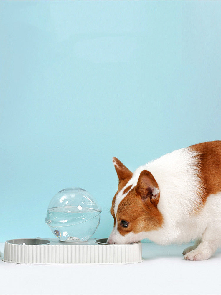Plastic Automatic Pet Feeder And Water Drinking Bowl