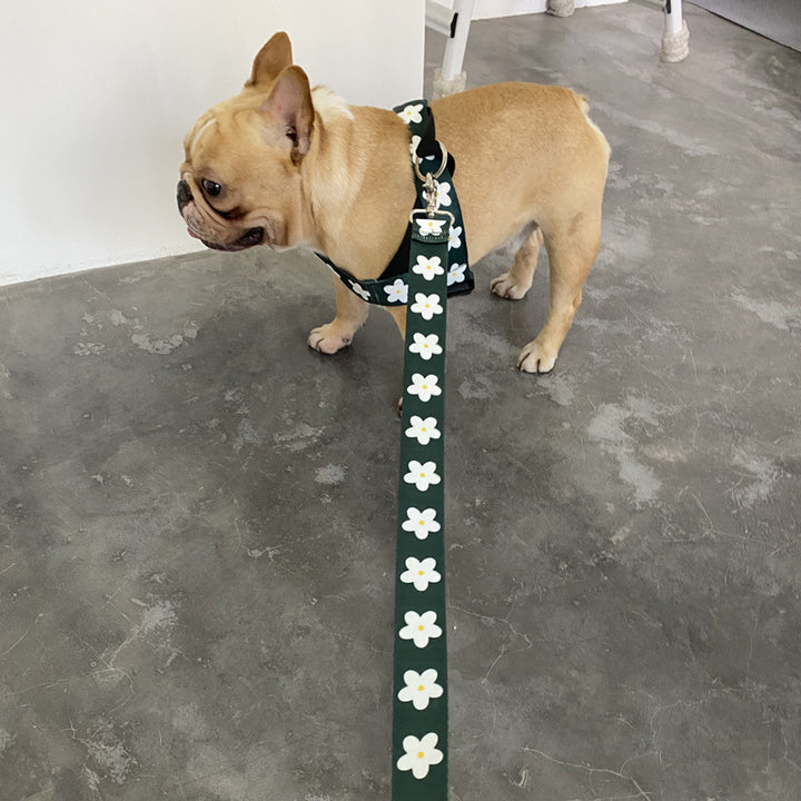Vest Style Large Pet Harness Leash