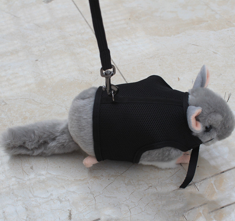 Small Pet Leash For Travel And Walking