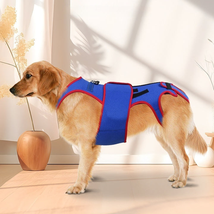 Pet Spine Support Posture Correction Jacket