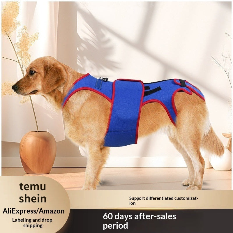 Pet Spine Support Posture Correction Jacket