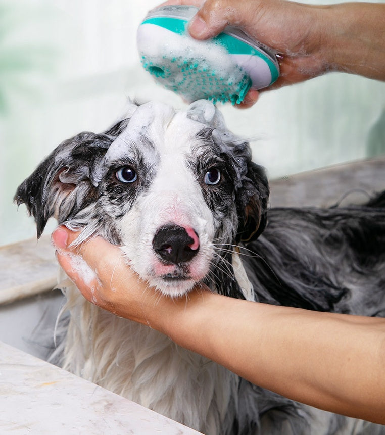 Automatic Liquid Dispensing Pet Bath Massage Comb
