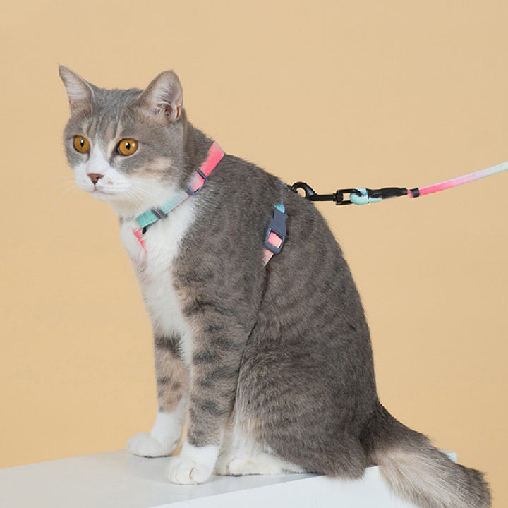 Fashion Pet Leash Anti Escape Control