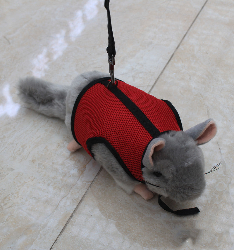 Small Pet Leash For Travel And Walking