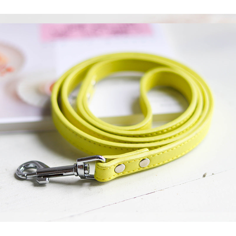 Pet Collar And Leash Set