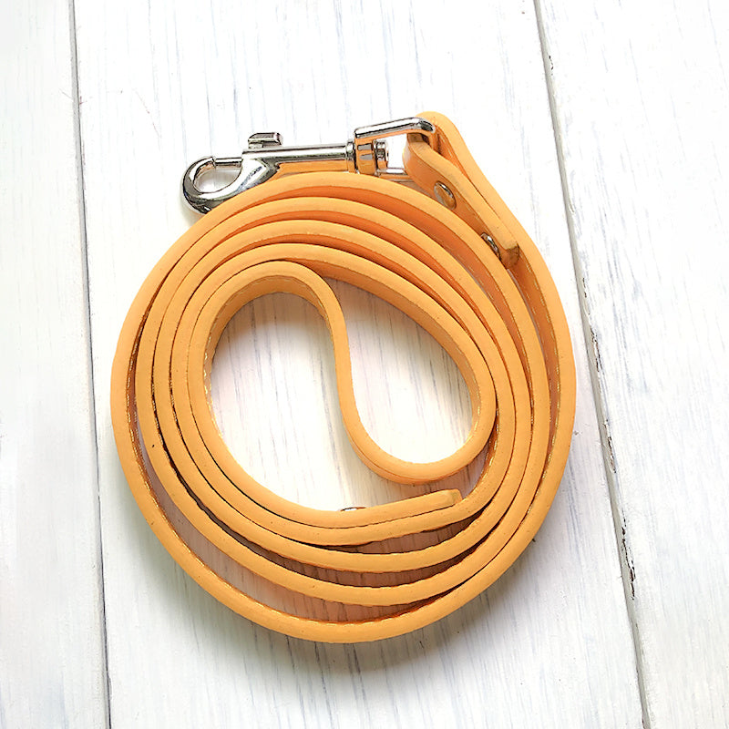 Pet Collar And Leash Set