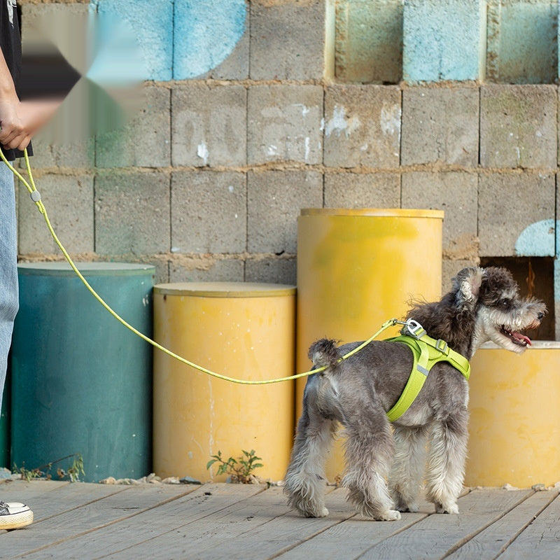 Adjustable Colorful Sliding Pet Leash