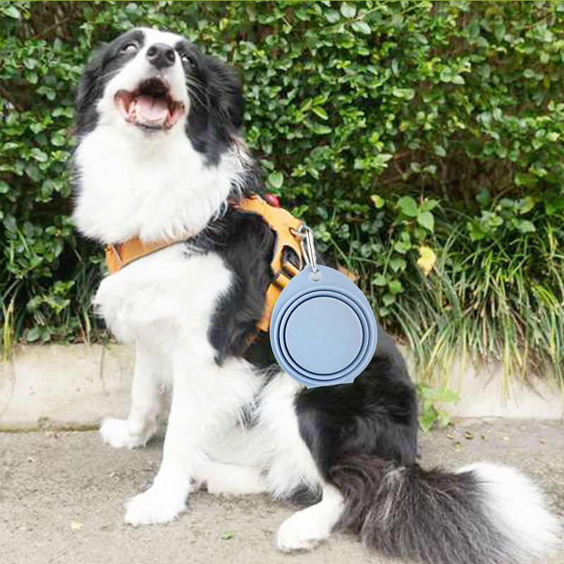 Pet Foldable Silicone Portable Feeding Bowl Outdoor