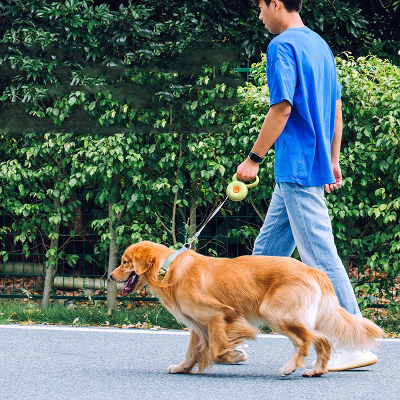 Reflective Retractable Pet Leash Rope