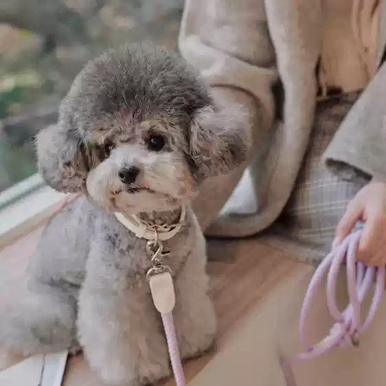 Leather Pet Collar And Handheld Rope Leash