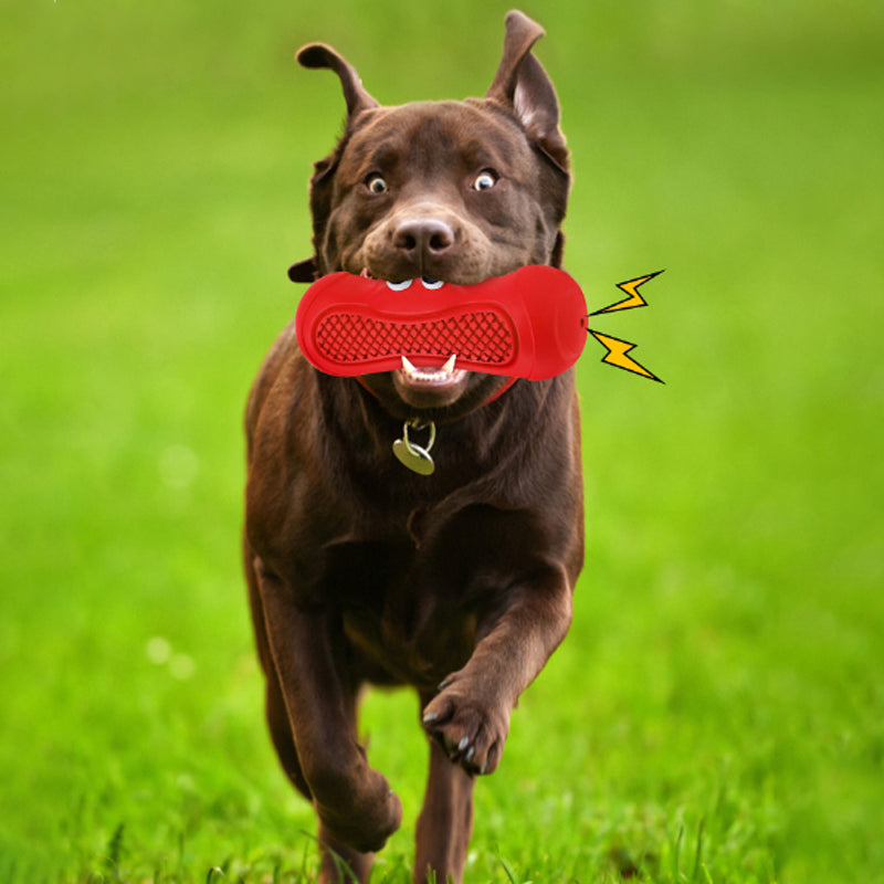 Vocal Pet Chew Toy Durable Natural Rubber Teething