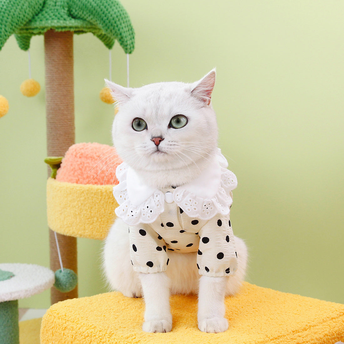 Blue Pet T-Shirt Clothing Apparel