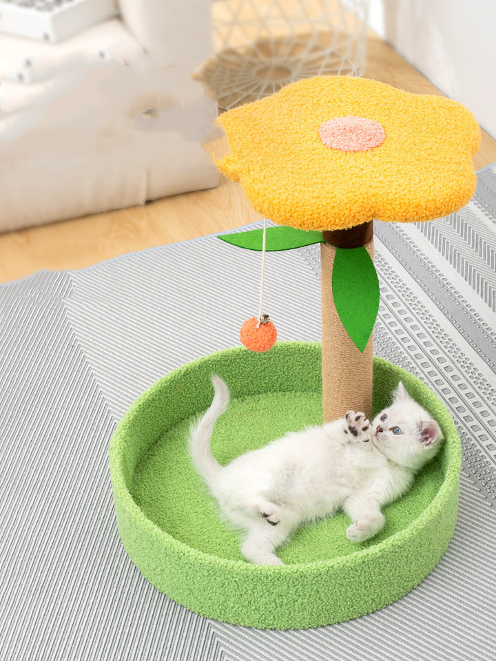 Pet Claw Grinding And Teasing Interactive Toy
