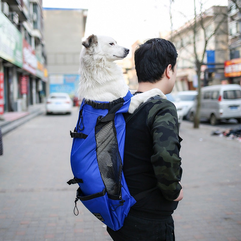 Double Shoulder Pet Backpack Carrier For Outdoor Travel
