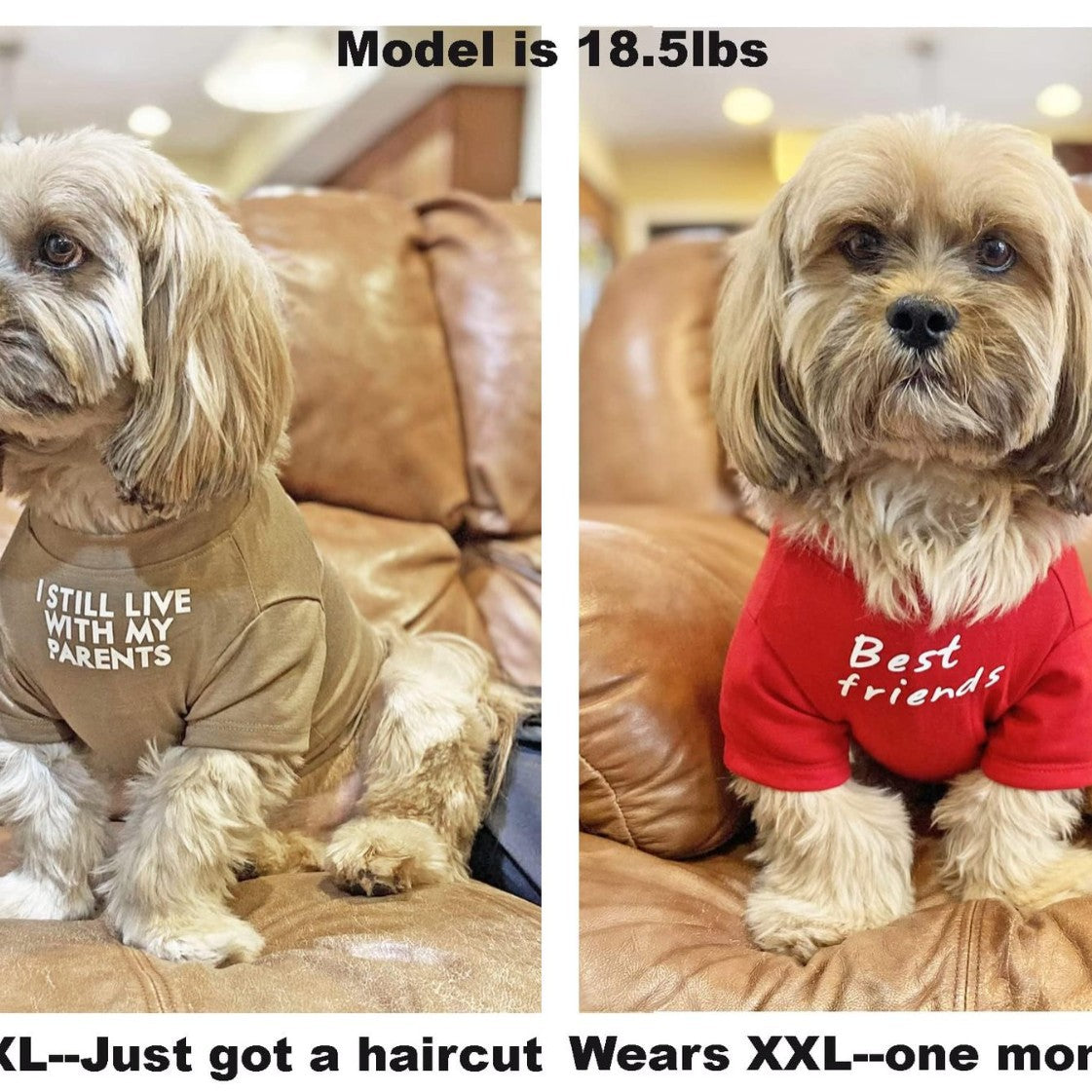 Round Neck Pet T-Shirt Clothing Apparel