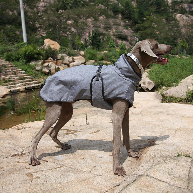 Pet Winter Shell Jacket Outdoor Ski Clothing
