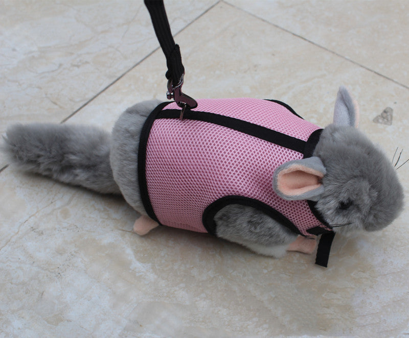 Small Pet Leash For Travel And Walking