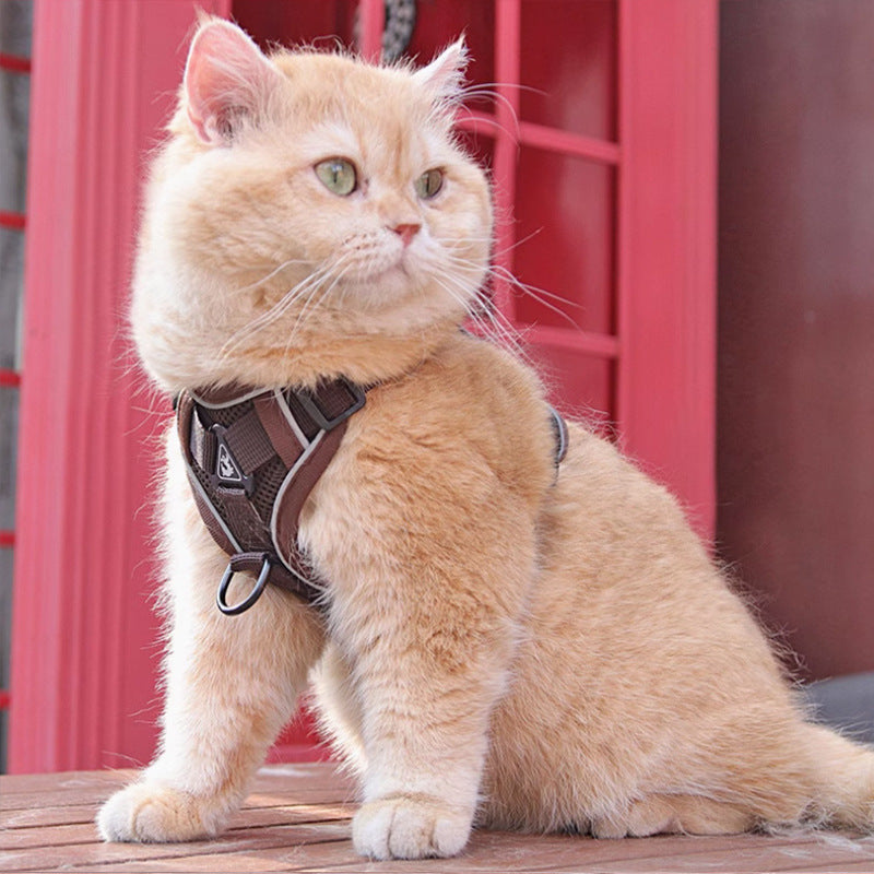 Pet Vest Harness With Chest Strap And Leash