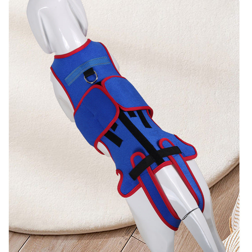 Pet Spine Support Posture Correction Jacket