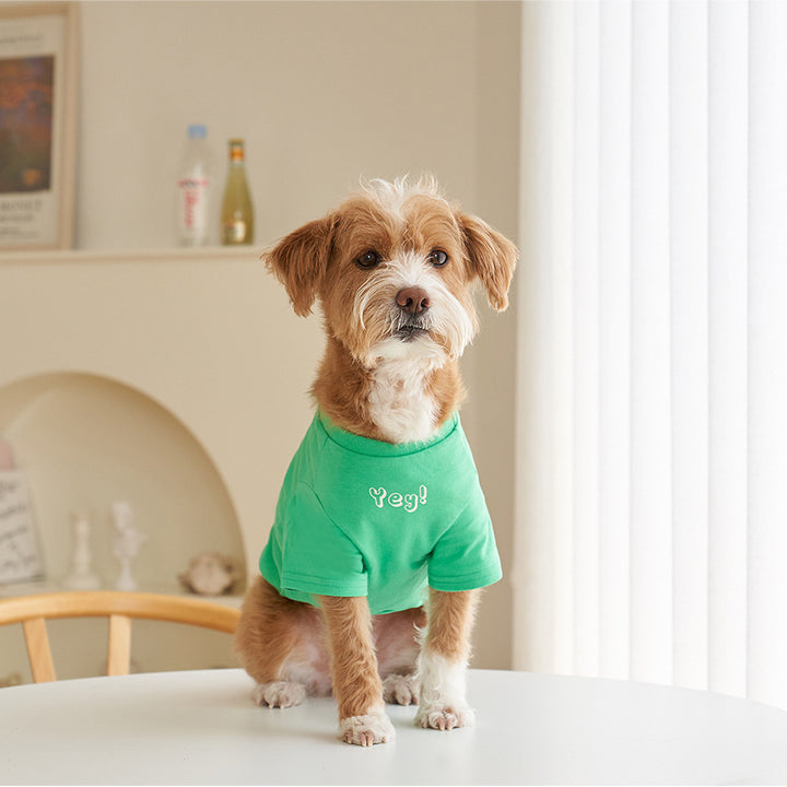 Korean Style Cotton Short Sleeve Pet T-Shirt Apparel