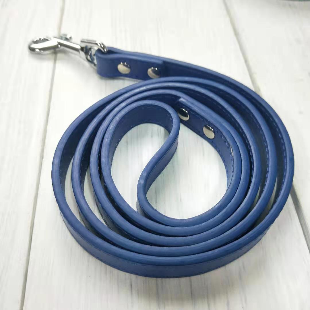 Pet Collar And Leash Set