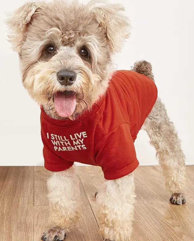 Round Neck Pet T-Shirt Clothing Apparel