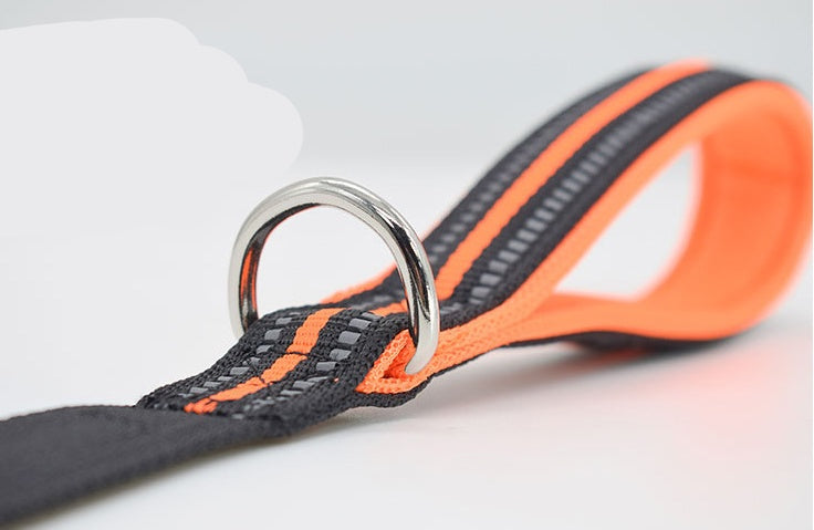 Retractable Nylon Pet Leash Assisted Control