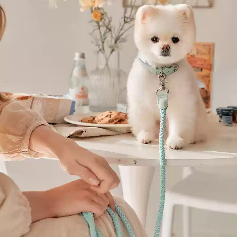 Leather Pet Collar And Handheld Rope Leash