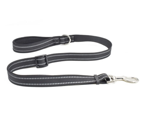 Retractable Nylon Pet Leash Assisted Control