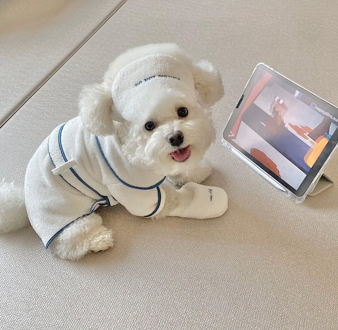 Pet Bath Towel Bathrobe Photo Props Grooming Accessory
