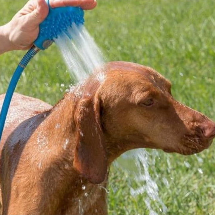 Silicone Pet Bathing Gloves With Shower Massage Brush