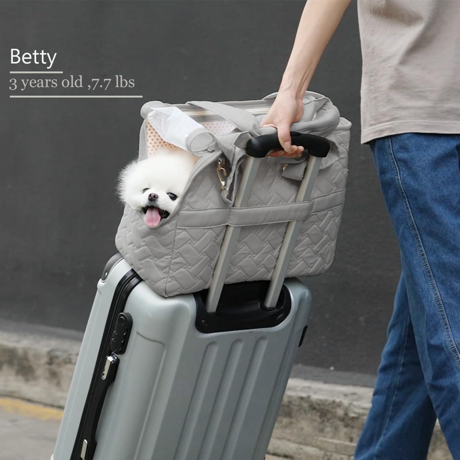 Breathable Mesh Pet Carrier Handbag With Soft Cushion And Pockets