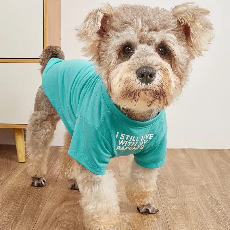 Round Neck Pet T-Shirt Clothing Apparel