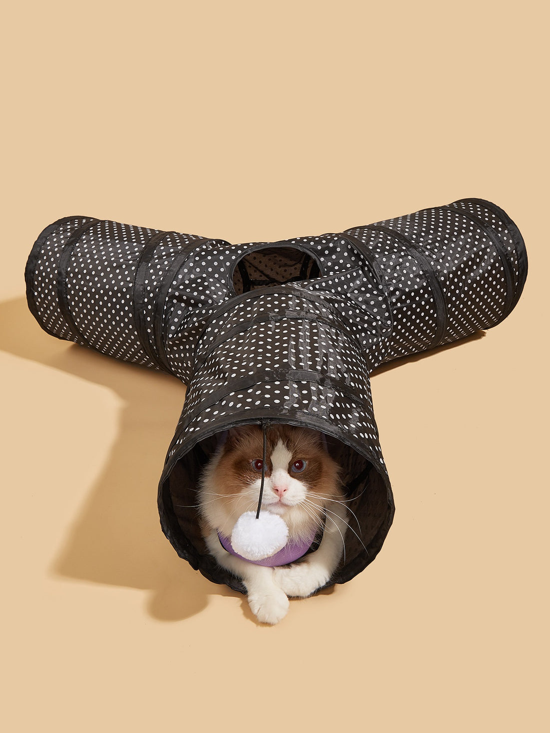 Collapsible Pet Channel Interactive Play Toy