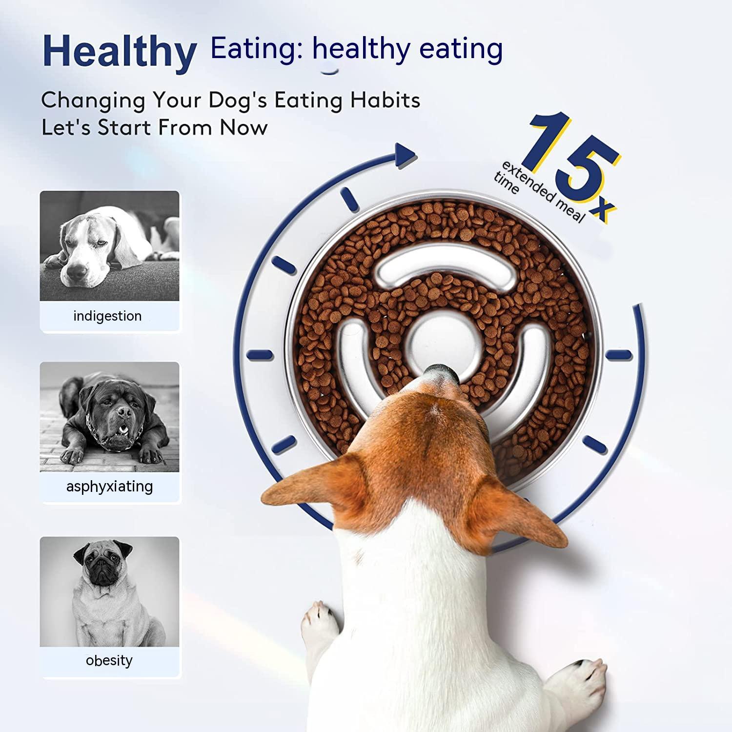 Stainless Steel Pet Slow Feeding Bowl With Neck Support
