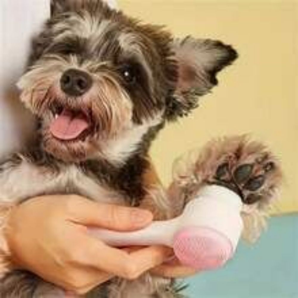 Easy Clean Nylon Paw Grooming Massage Brush Tool