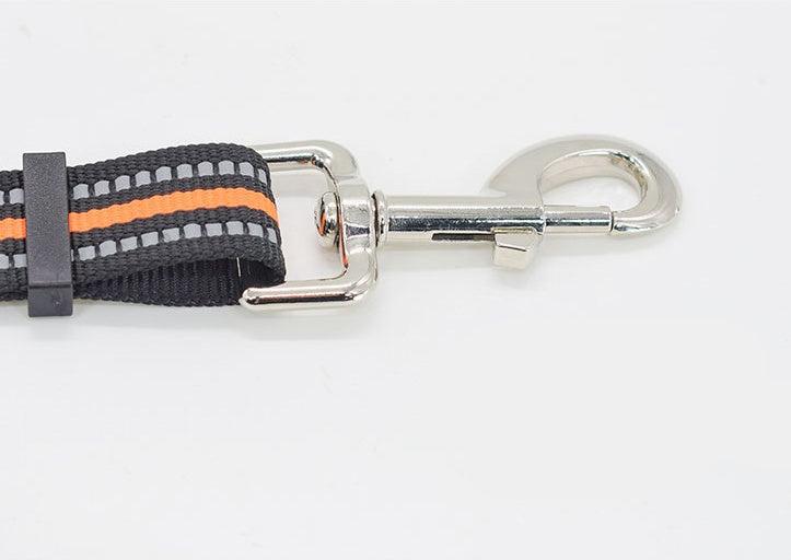 Retractable Nylon Pet Leash Assisted Control