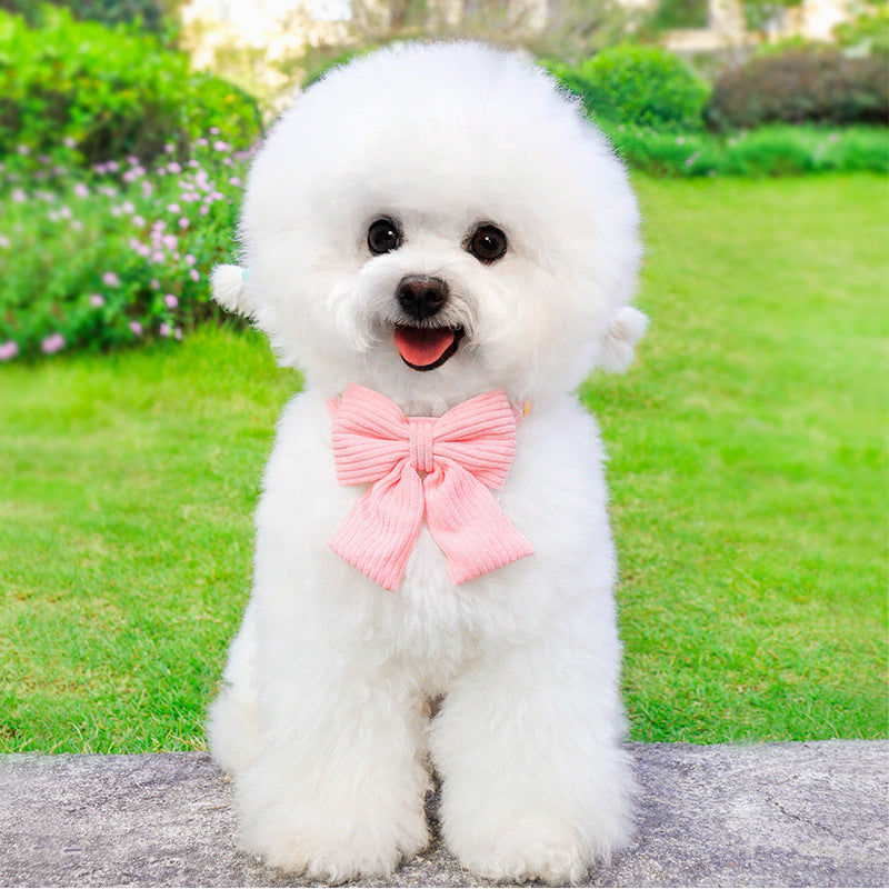 Outdoor Pet Harness And Leash Set