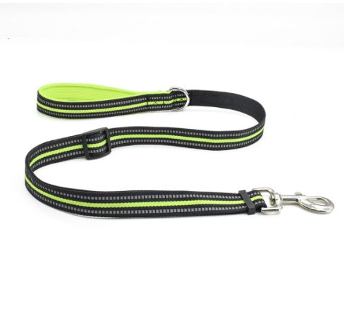 Retractable Nylon Pet Leash Assisted Control